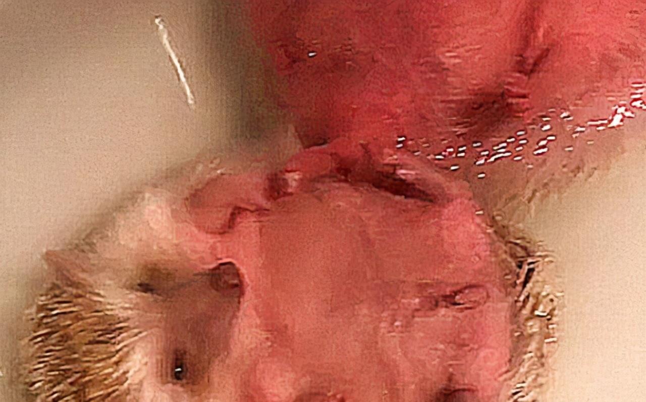 主人给刺猬洗澡，接电话忘关浴霸，差点就熟了呀