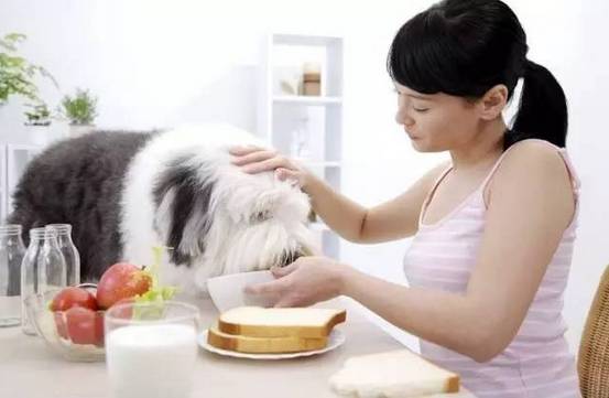 别养宠物影响孕妇健康嘛，养宠物对孕妇的危害