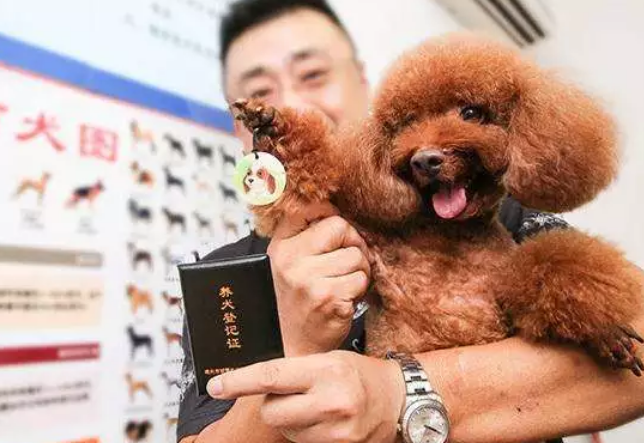物业提醒：坚守文明养犬的刚性规则