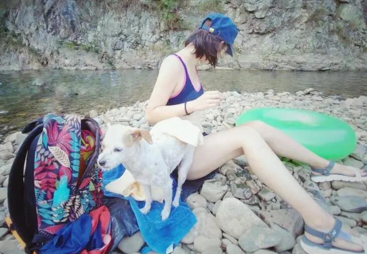 田园犬的逆袭，周游世界，高级餐厅吃饭，我第一次羡慕一只狗