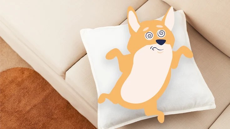 犬癫痫发作:病因、症状和治疗
