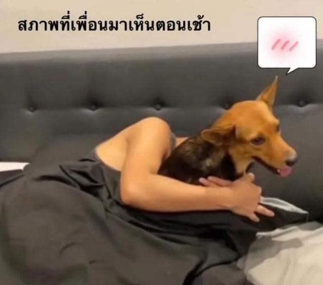 泰国小哥喝断片，醒后发现家里多了只狗？好友：昨晚你绑回来的！