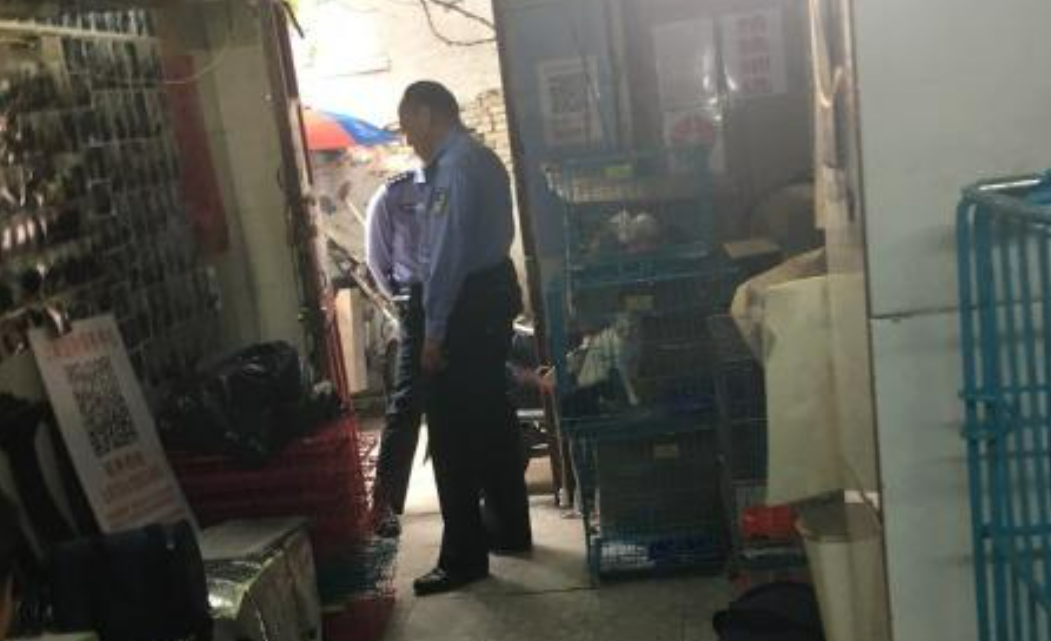 上海一“宠物救助中心”被指贩狗虐狗,屡遭举报还打伤执法者