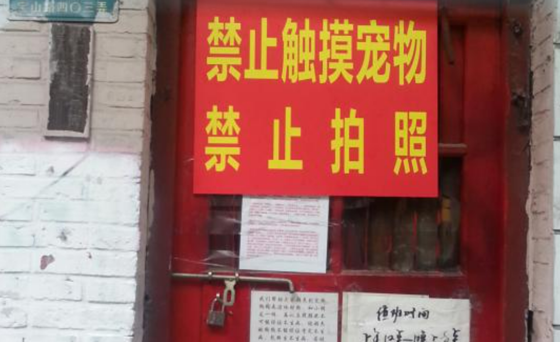 上海一“宠物救助中心”被指贩狗虐狗,屡遭举报还打伤执法者