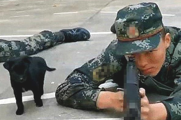 小奶狗趁酷帅士兵不留意，竟悄悄跑来亲脸蛋儿，还趴到其腿上打瞌睡