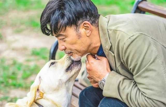 8万余盲童仅1人有着导盲犬，他们手上藏着过多心酸