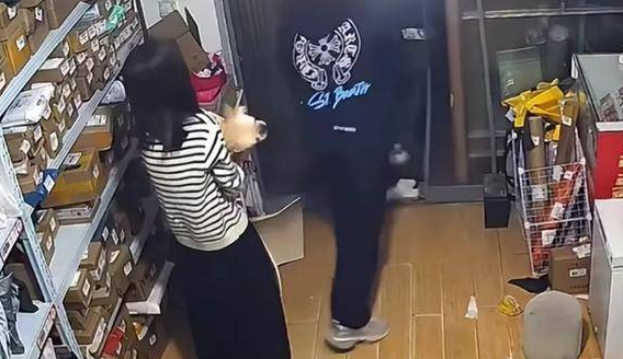 “它是我的家人!”宠物狗在店里撒尿,狗主人殴打店家,引发热议