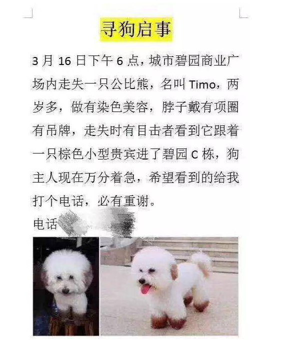 女子捡到狗向主人索要4500元,被曝光后称:等着给它收尸吧!