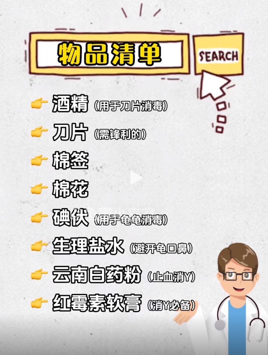 乌龟中耳炎:病因与治疗方法
