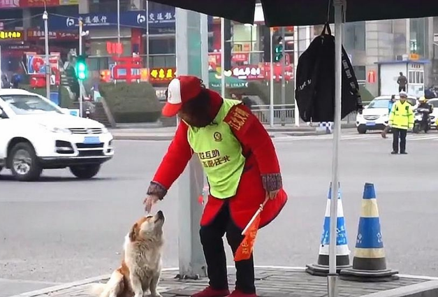 忠犬殡仪馆外守主人3天,听到旧事便流泪!网友们大赞:好有灵性