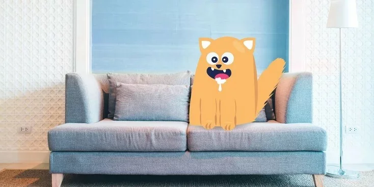 猫狂犬病:病因、症状和治疗