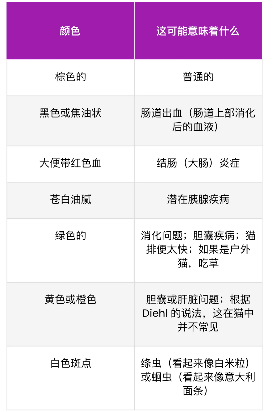 什么是猫腹泻?原因、应对及预防全攻略