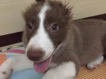 麻，你这是要干嘛，一帅小伙儿被你弄成这样