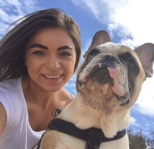 心爱斗牛犬丢失,土豪主人竟用这种方法寻狗!声称不找到绝不罢休