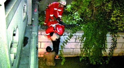 70斤边境牧羊犬落水主人下水托举两小时 消防:边牧会水