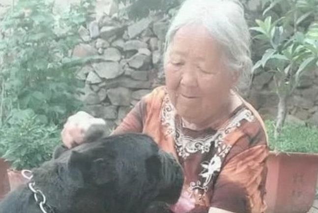 奶奶养了一只高加索犬卡斯罗，性情温和的像只小猫咪，狗：谁还不是个宝宝？