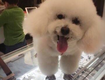 洗了个免费的澡，做了个免费的美容
