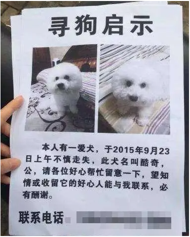 别人帮忙找到宠物狗 | 宠物狗丢了“网友”帮忙寻找，向主人索要近3万涉嫌诈骗被诉