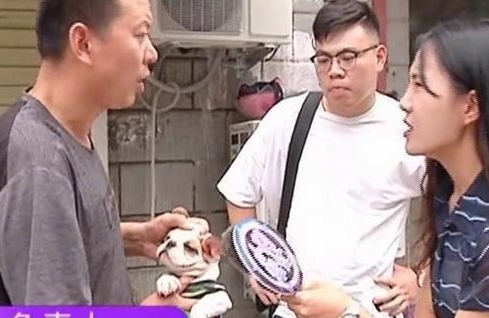 男子买了条法国斗牛犬，回家一看傻了眼，老板：你打电话报警吧