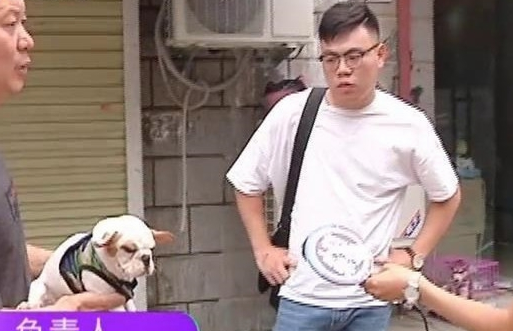 男子买了条法国斗牛犬，回家一看傻了眼，老板：你打电话报警吧