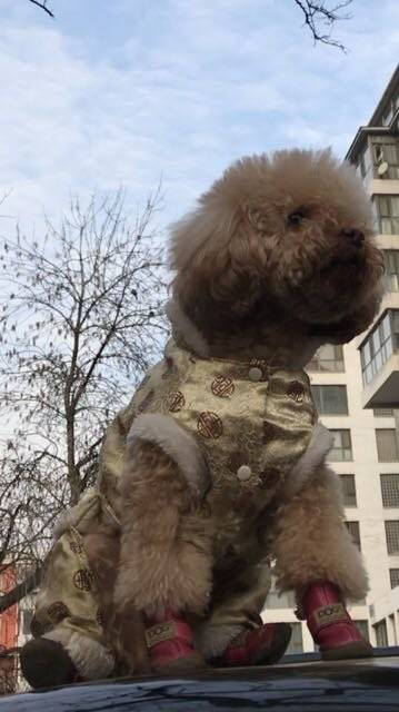 今天的风，怡人，今天的阳光，暖人～今天是惊蛰，春回大地，万物萌动。春回大地！是爱，是暖，是希望