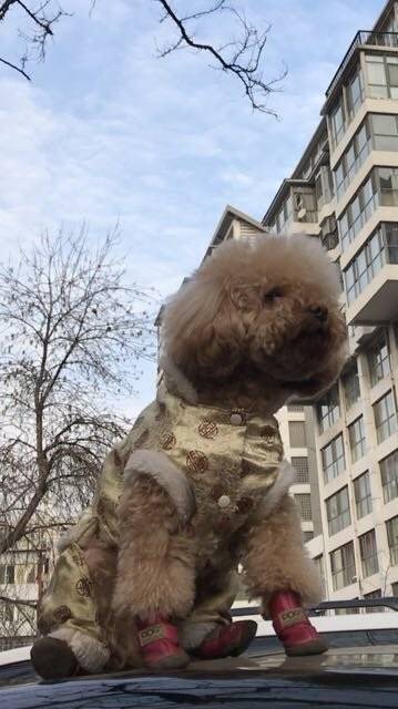 今天的风，怡人，今天的阳光，暖人～今天是惊蛰，春回大地，万物萌动。春回大地！是爱，是暖，是希望