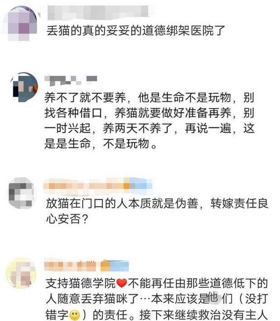 爱心网红靠流浪狗得百万打赏，猫德学院濒临破产，宠物经济真奇怪