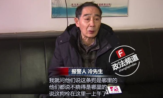 长沙芙蓉路咬人金毛被民警用木棒打死虐狗事件，官方辟谣事件全过程