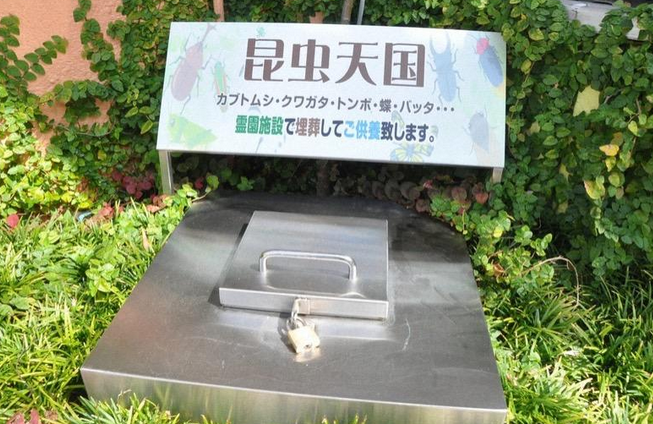 为昆虫立碑，为“电子狗”超度……宠物殡葬未来将如何发展？