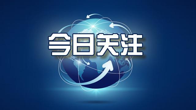 狗命比人命贵？——法律可不这么看
