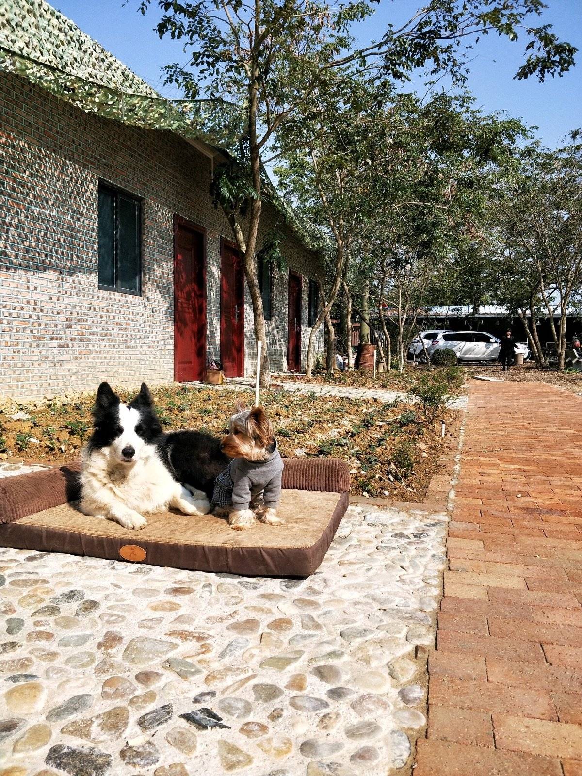 这次我随家人的旅行地是惠州~好友的青柠檬果园小时候至今我都来过几回了,每次都玩的很嗨...在大自然阳光下畅想~ 有家人陪伴的旅行是狗生最幸福,最开心,最向往,最有意义的事。