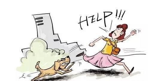 猫热天容易咬人 | 当心！狗猫盛夏狂躁易伤人！如何处理、如何预防全在这了