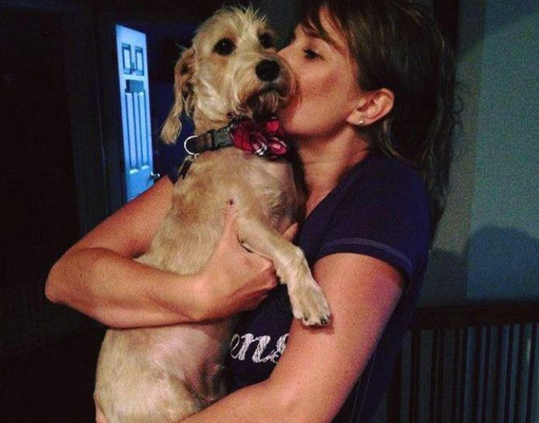 流浪犬汽车上出现意外孕妇分娩，夫妻帮它助产，6只讨人喜欢的小狗圆满出世！