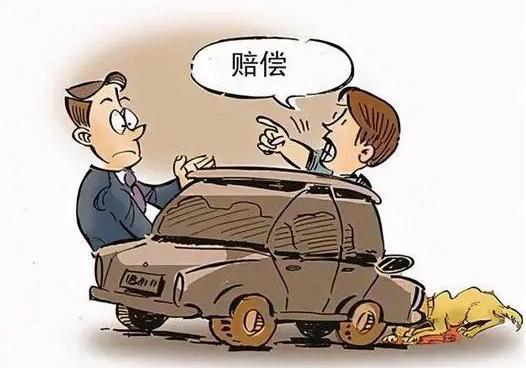 遛狗不拴绳，昆明一宠物狗被撞进汽车保险杠！派出所：狗主人全责并修车