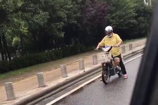 狗狗从电瓶车上掉了出来，狂追了一公里才追赶主人，差点儿跑咽气