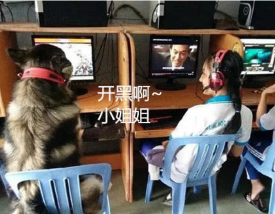 男孩领狗网咖玩游戏，被妈妈处罚推卸责任给狗，小狗表明憋屈的难受想哭