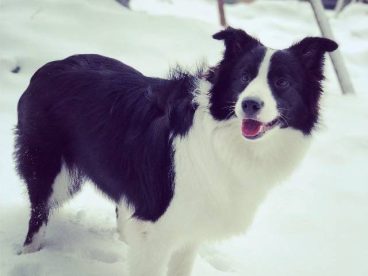 人生第一场雪️麻麻真好，带我玩雪咯看我飞奔起来