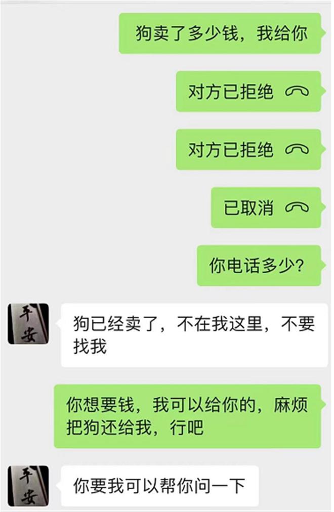 男子领养狗狗后反勒索原主人，送养人的爱心不应成为牟利工具
