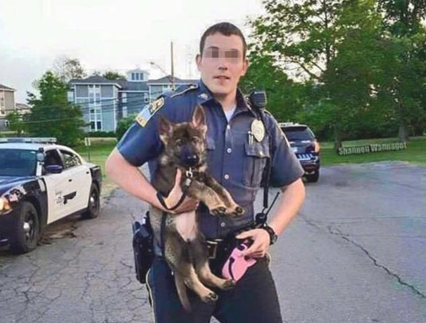 警犬的“黑史”?黑脸大个儿的儿时,竟然是靠装萌渡日
