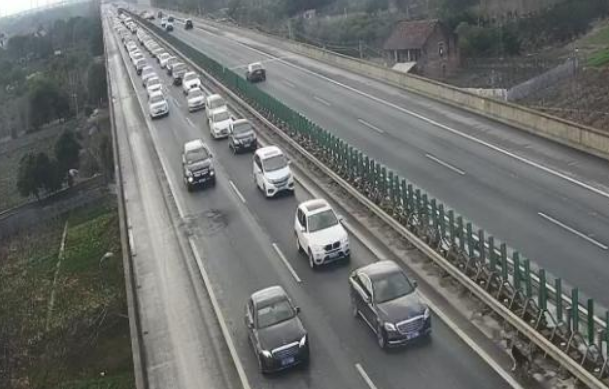 哈士奇误闯高速致堵车!网友:这次真的“堵成狗”
