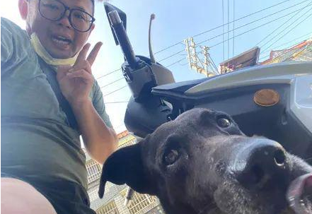 网友在路边回信息，结果被狗子强迫搭霸王车：不认识你呀！