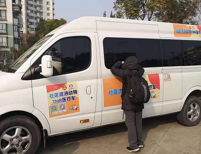 社区来了辆移动绝育车,一出门猫狗就“不完整”了