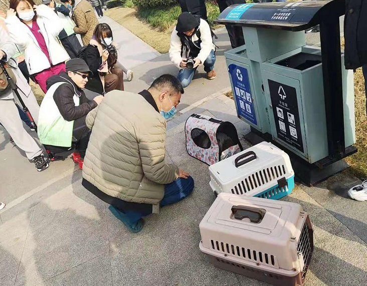 社区来了辆移动绝育车,一出门猫狗就“不完整”了