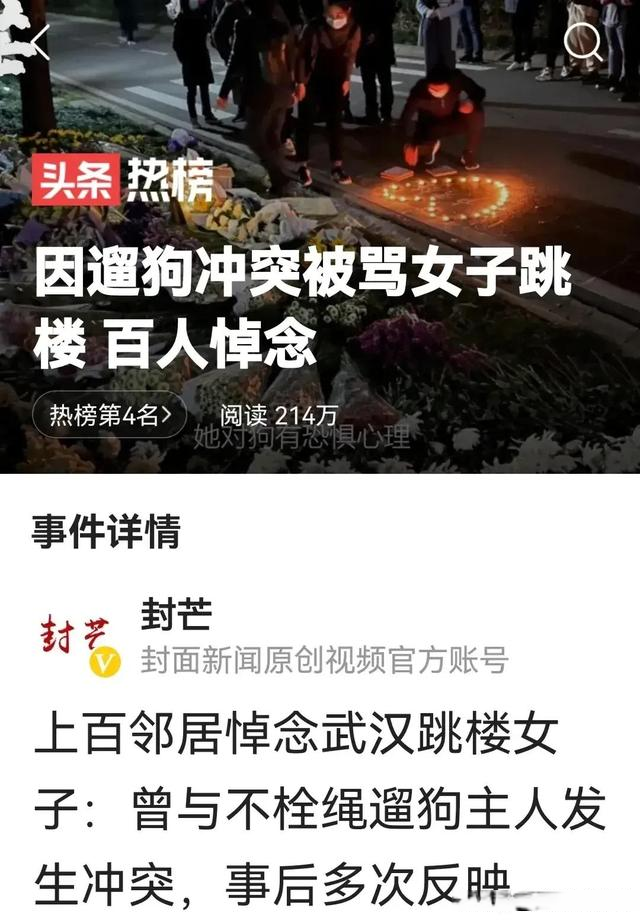 我的狗不咬人，别怕