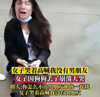 女孩丢了宠物狗，坐在大街上崩溃大哭