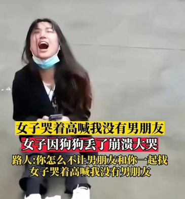 女孩丢了宠物狗，坐在大街上崩溃大哭