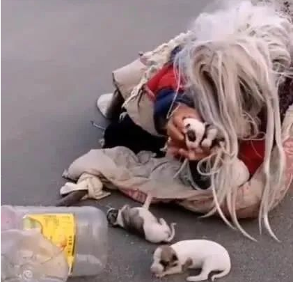 流浪汉遇到流浪狗，立马把狗揽入怀里，画面让人看着心疼