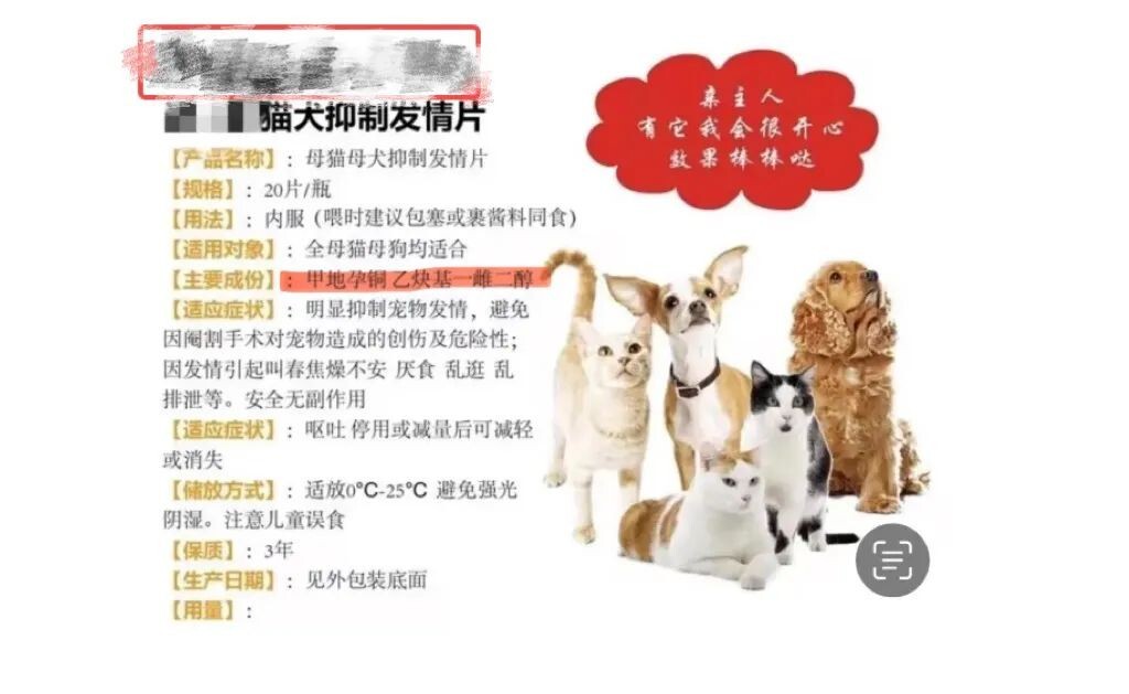 宠物发情喂避孕药可以吗？这些后果需要考虑