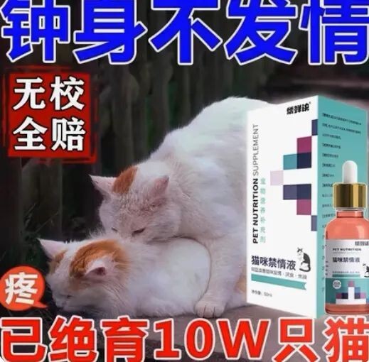 宠物发情喂避孕药可以吗？这些后果需要考虑