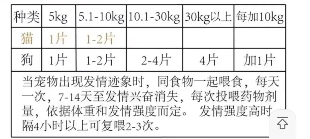宠物发情喂避孕药可以吗？这些后果需要考虑